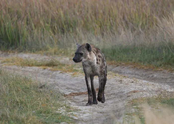 Ngangane Lodge & Reserve