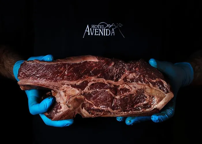 Hotel Avenida Benasque
