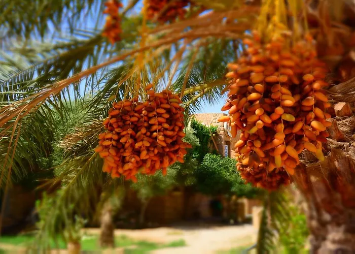 Caravanserail