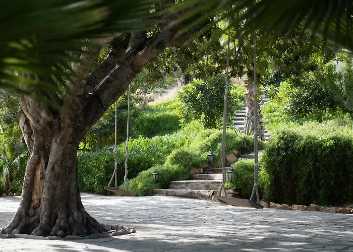 La Almendra Y El Gitano