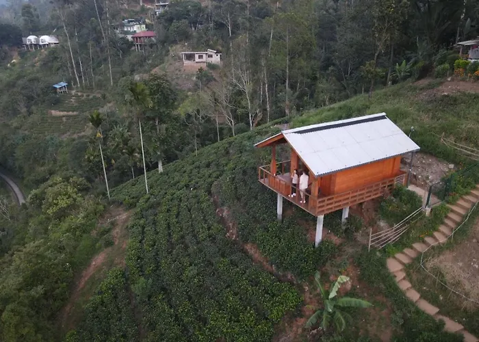 Green Nature Paradise Ella