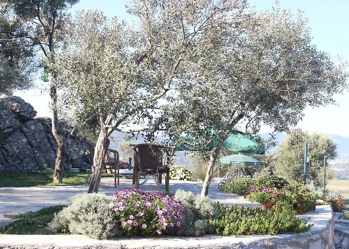 Olive Garden Retreat