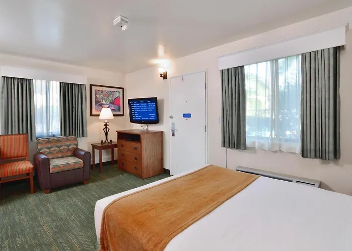 Lamplighter Inn & Suites At Sdsu