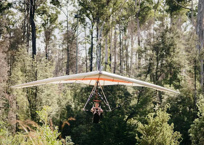 Tahune Airwalk Cabin And Lodge