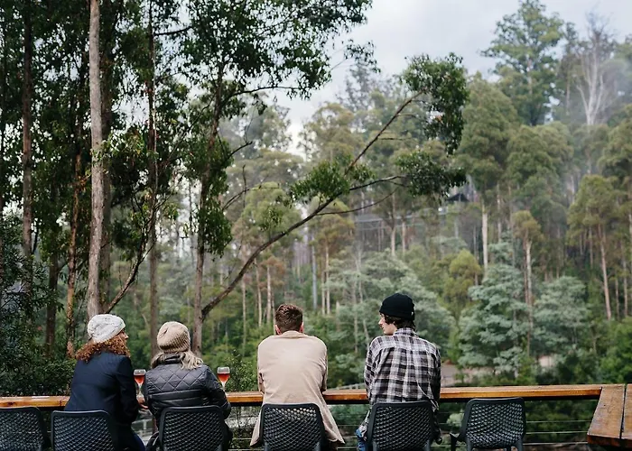 Tahune Airwalk Cabin And Lodge
