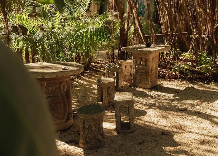 Zeneidas Surf Garden