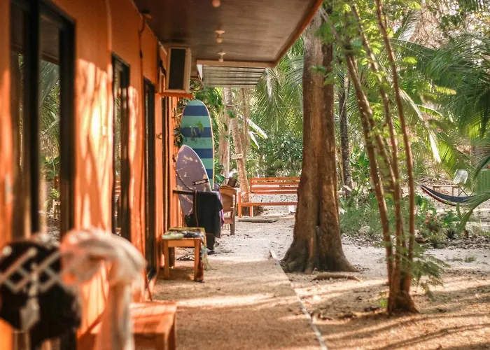 Zeneidas Surf Garden