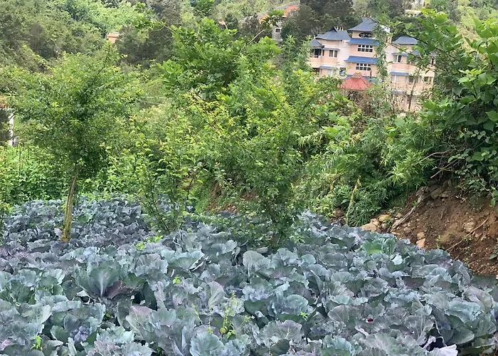 Bogar Palace Kodaikanal