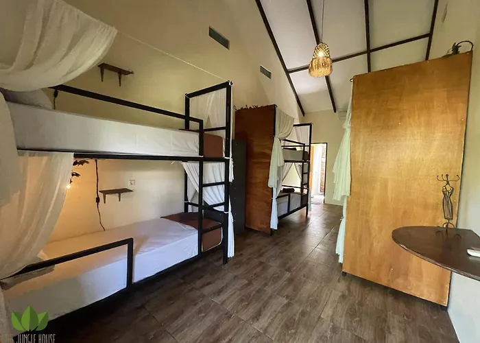 The Jungle House