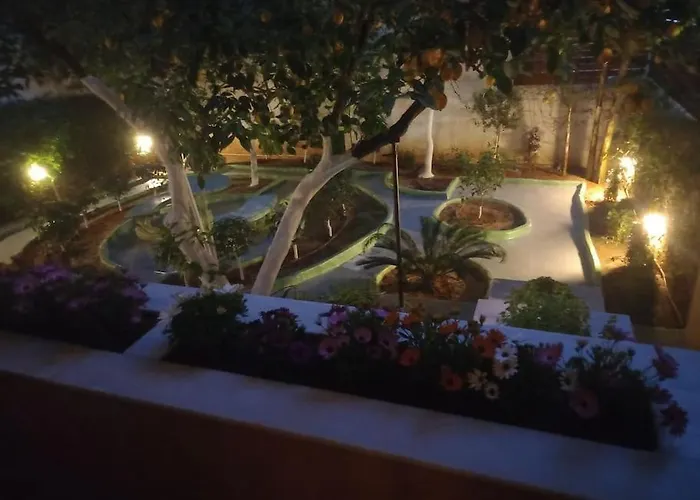 Penthouse Oasis