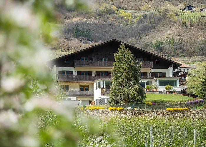 Pension Apartments Pardell