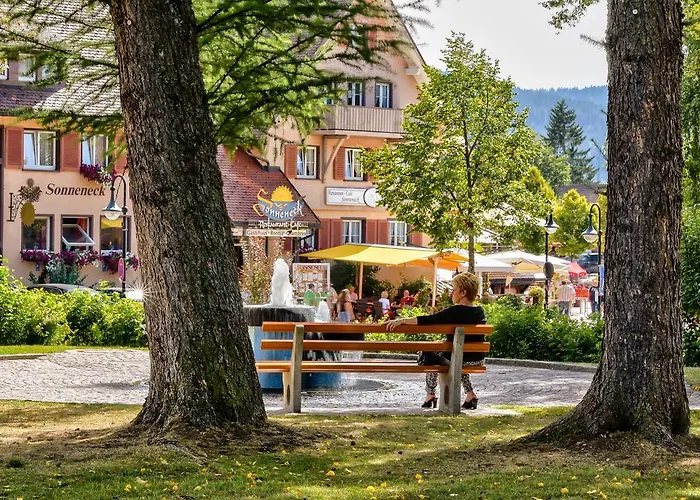 Hotel Sonneneck Titisee -Adults Only-