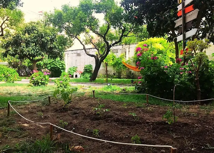 Urban Oasis Hostel