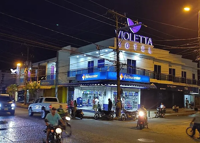 Hotel Violetta Cerete