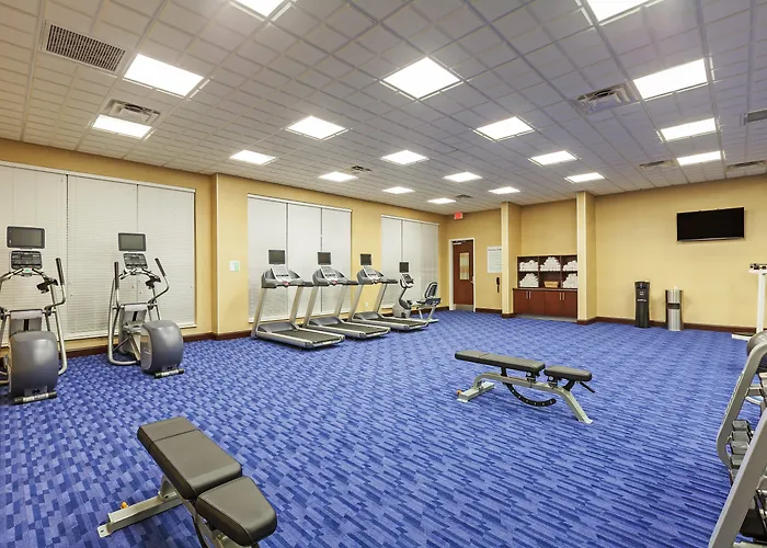 Hilton Garden Inn The Colony Dallas