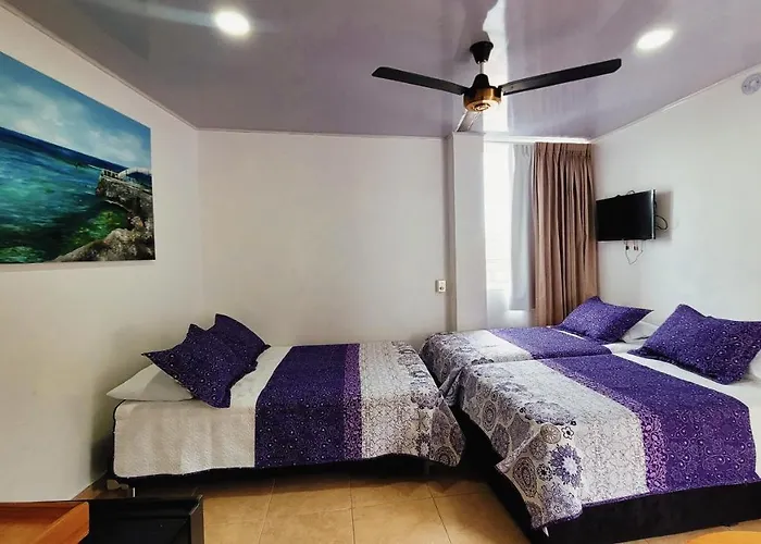Hotel Olas