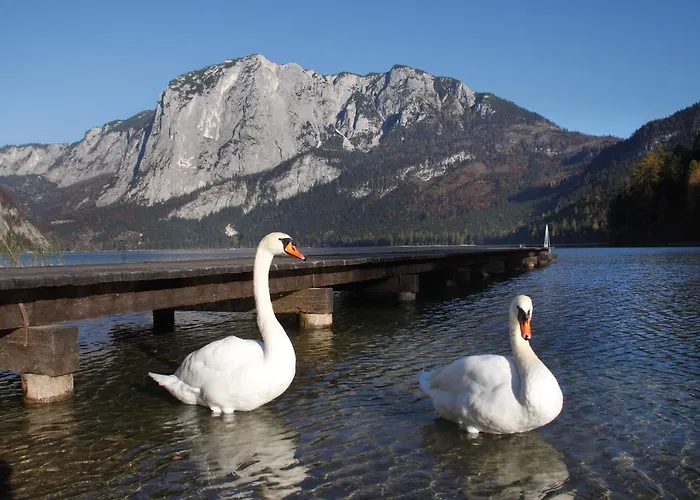 Gasthof Zum Hirschen