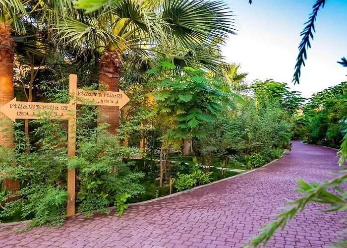 Laguna Vista Buraydah
