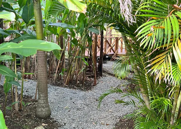 Jamaica Colors Hotel And Eco-Retreat