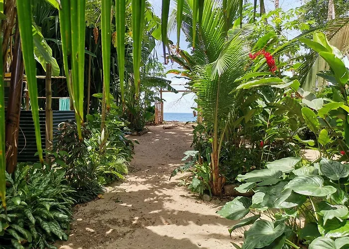 Oasis Beachfront Hostel