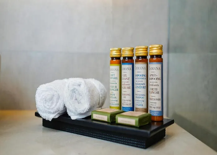 Petit Palace Suites Hotel
