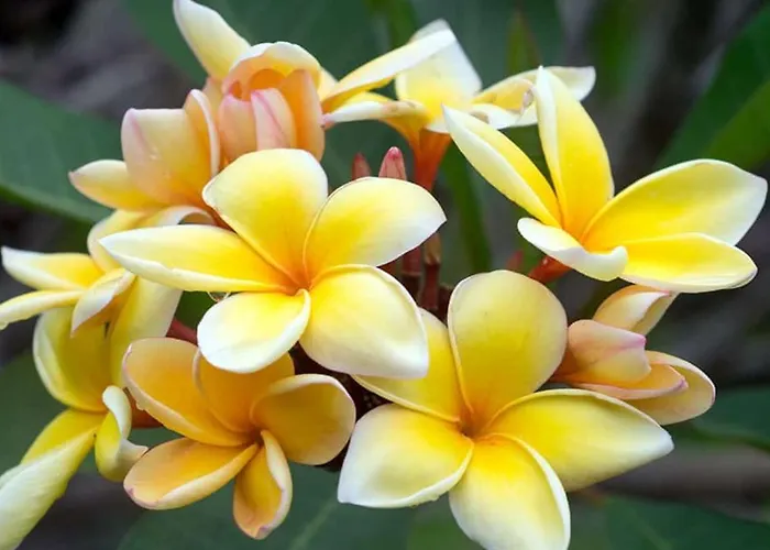 Atavai Hotel Rapa Nui