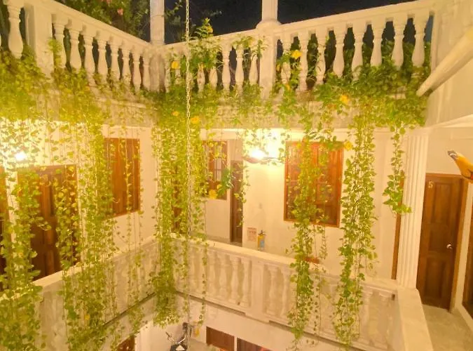 Patio de Getsemani