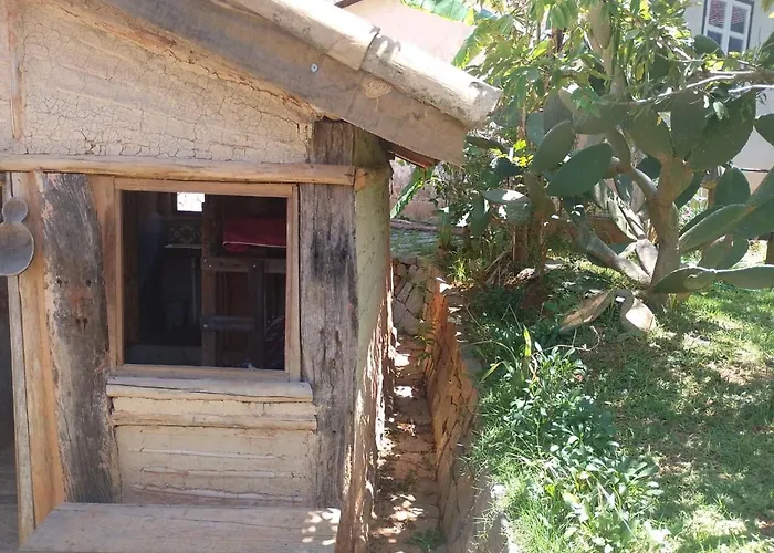 Hostel Pousada Harpia