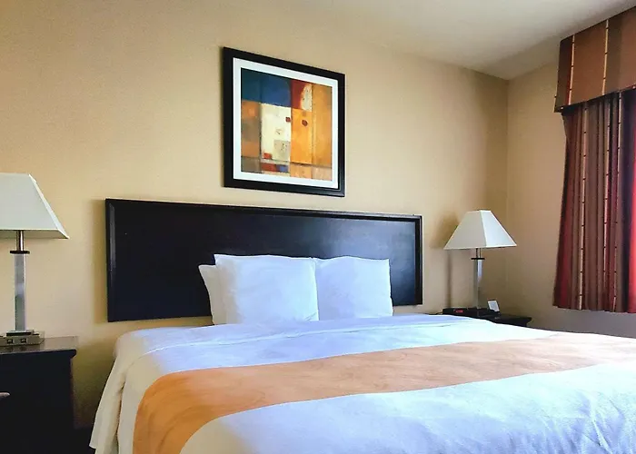 Quality Inn & Suites Anaheim At The Park
