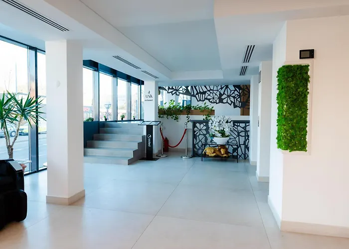 Hotel Avenue - Avenue Hotels