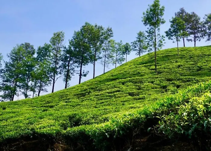 Hotel Munnar Central