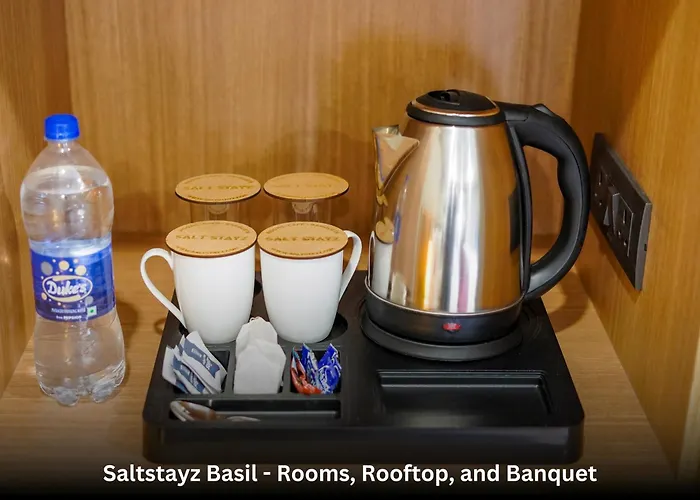 Saltstayz Basil - Near Golf Course Road & Extension Road