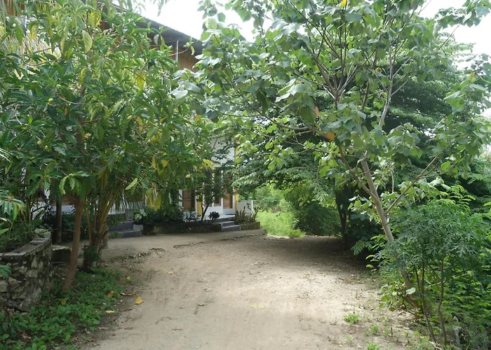 Tarsan Homestay