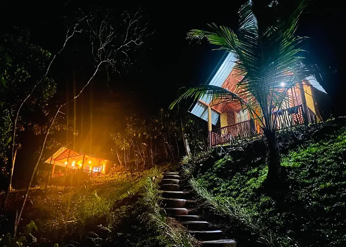 The Rainforest Hideaway