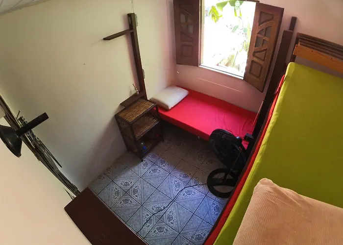 Hostel Freedive Inn