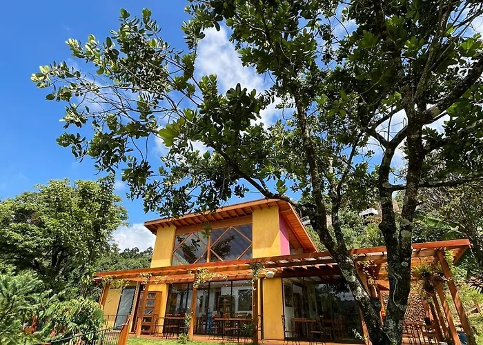 Terra de Kurí