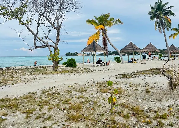 La Isla Tropica