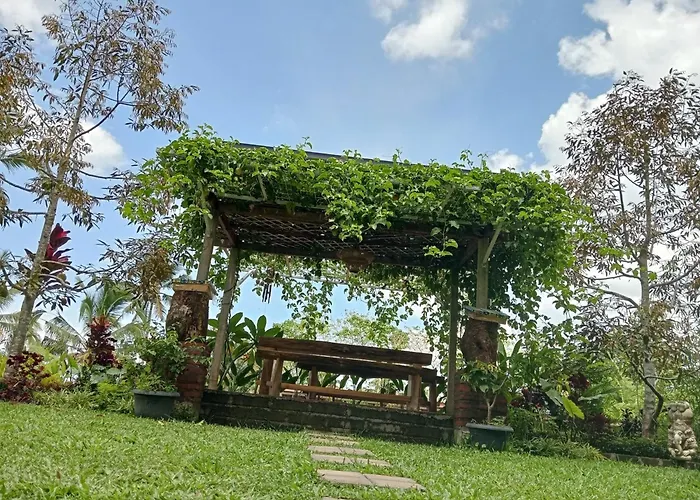 Sekumpul Bali Hidden Space
