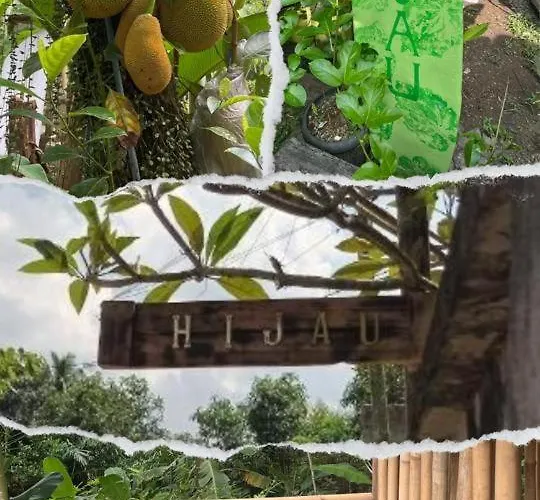 Hijau