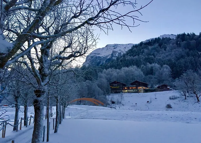 Hotel Restaurant Baenklialp