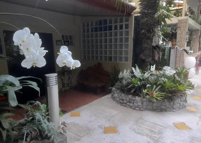 Coyaba Tropical Elegant Adult Guesthouse