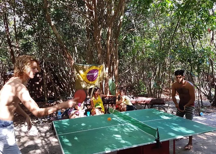 Lagarto Na Banana Hostel