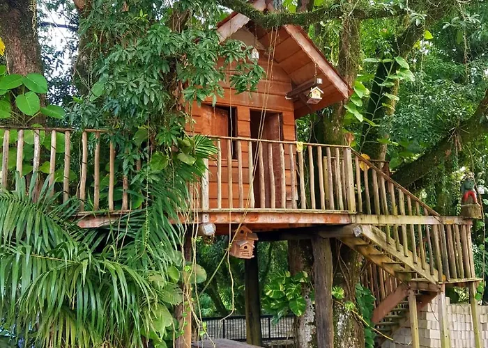 Hotel Colonial
