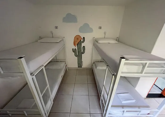Ooxe Hostel