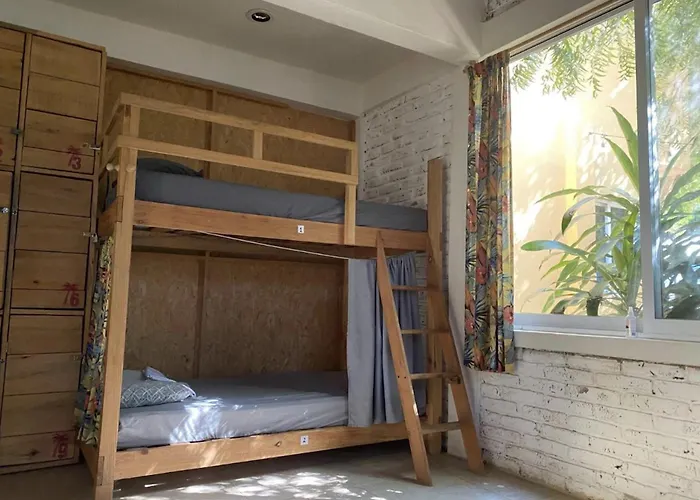 La Palmera Hostel