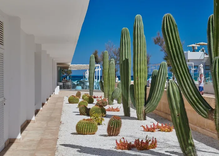 The Sea Hotel By Grupotel - Adults Only