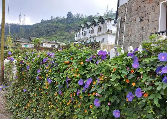 Villa De Roshe