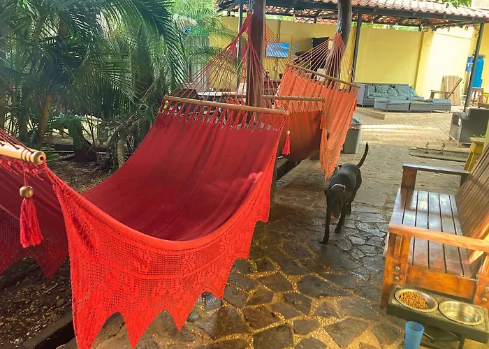 Tamarindo Backpackers