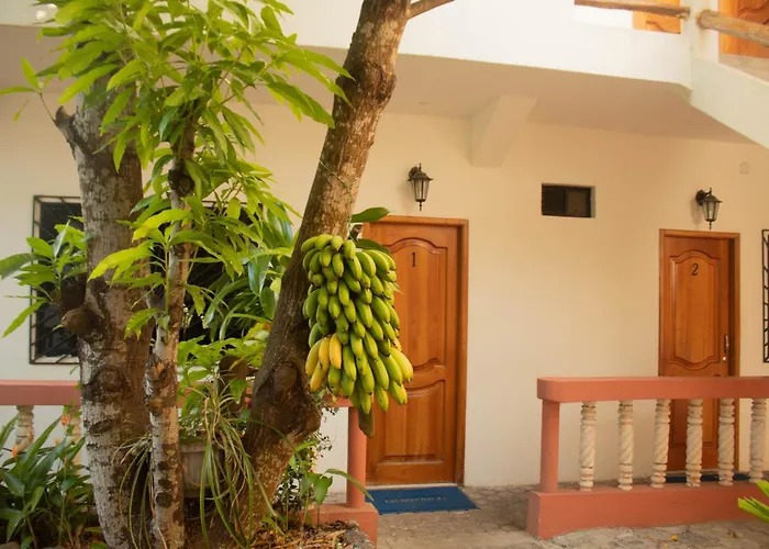 Casa De Nelly
