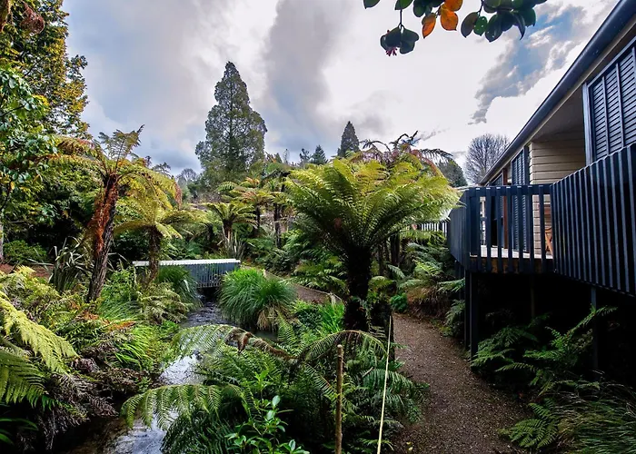 Ripple Rotorua